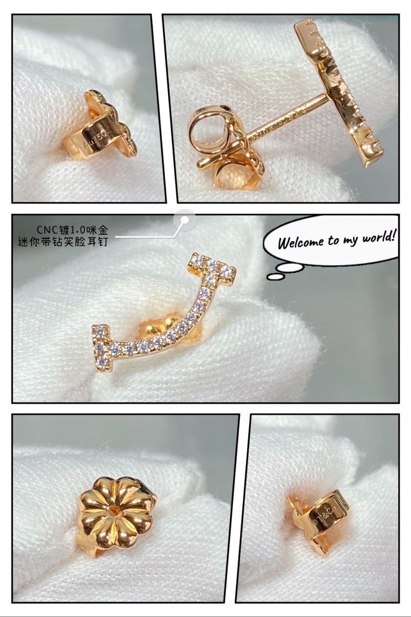 T*f*ny earrings